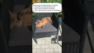 Целует утром мужа. Посмешней анекдот. #анекдототкожаного