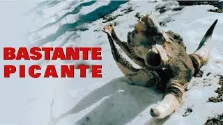 Kraneando Actividad - Bastante Picante