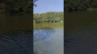 29 августа 2024 г.