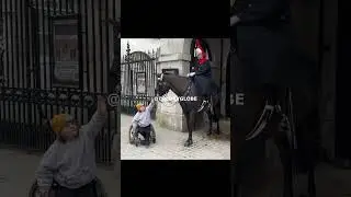Girl in wheelchair shows great bond with Kings Guard Horse #kingsguard #royalkingsguards   #horse