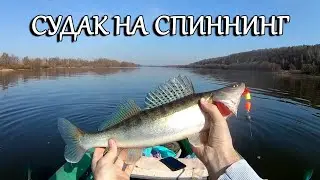 Судак на спиннинг в Коломне