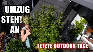 Outdoor Saison fast vorbei - Zeit für den Umzug