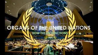 Organs of the United Nations | How the UN functions