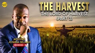 THE HARVEST PT  3 (THE LORD OF THE HARVEST) BY APOSTLE JOSHUA SELMAN