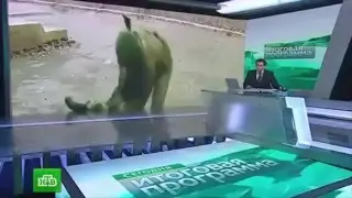 Спецназ России.Лучшие в мире по рукопашному бою.