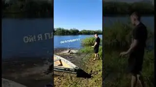 Первый заплыв🐬 #собака #любовь #ротвейлер #речка #shorts