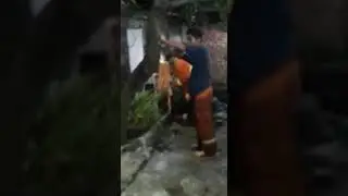 Damkar Gresik Mancing Ular Sanca (Phyton) Sampai Ambyar ‼️(1)