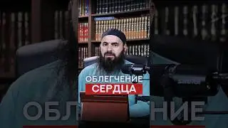 Облегчение сердца | Абу Зайд Аларо