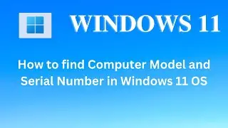 how to find computer model and serial number in windows 11