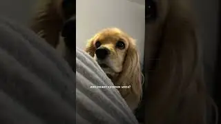 Догадались, что у меня было в руках?