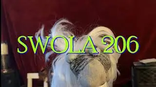 #SWOLA206 7 string Washburn and some vocals
