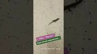 Увидела в магазине... Улыбнуло))