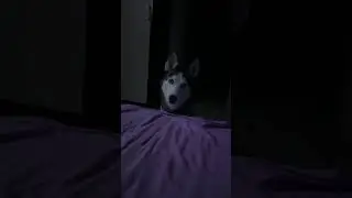 Ненавязчиво просимся спать с самой😃 