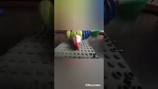 1 августа 2023 г.