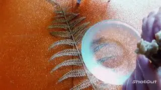 🌞 ЛЕТО🌞