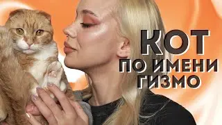 Гизмо: макияж моего кота