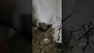 лучший специалист калининград