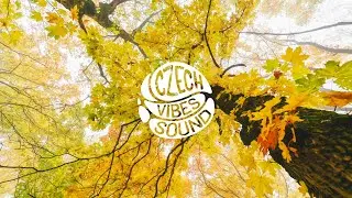 Unisoner - Good Vibes