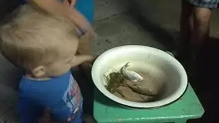Первый рак ))
