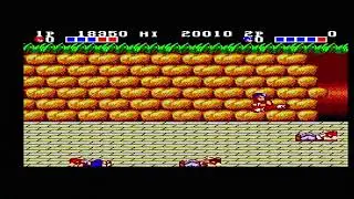 Double Dragon Master System PAL Actual Hardware