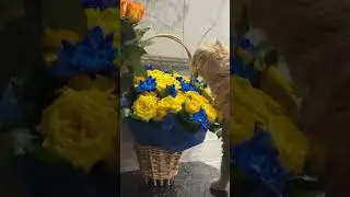 Девочки любят цветочки 🌸 
