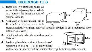 Chapter 11 Mensuration || Full Exercise 11.3 & Basic Concepts || Class 8 Maths RBSE CBSE NCERT