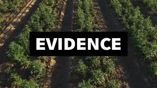EVIDENCE / Last Prisoner Project