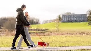 Limerick On Foot -Curraghchase Forest Park