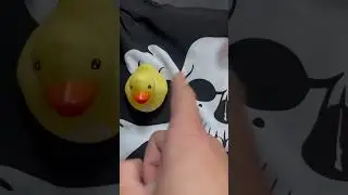 не гей