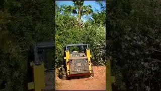 Major landscaping update for my Airbnb to increase bookings and value for guests