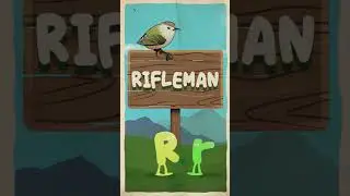Bird Alphabet for Kids - Birds that Start with R