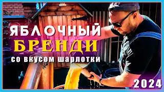 Яблочный самогон Шарлотка быстро вкусно и за 4 дня