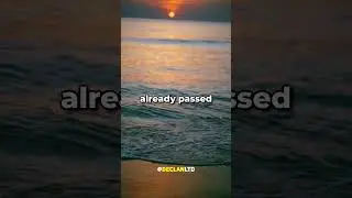 Strangest Animal to Turn Up on Beach