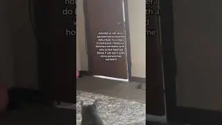 Her cat was trying to warn her.. #paranormal #pets
