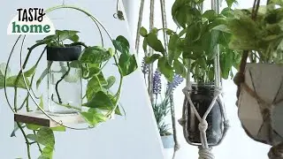 8 Fun Ways To Up Your Plant Game | Tasty Home