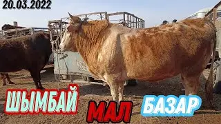 Шымбай мал базар/ shimbay mal bazar/mal bazar