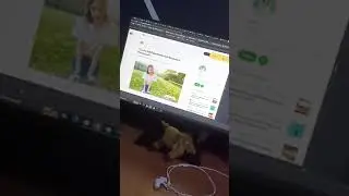 How to make a chrome extension 2023 | JavaScript