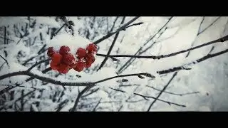 Зимняя красота в Новой Усмани