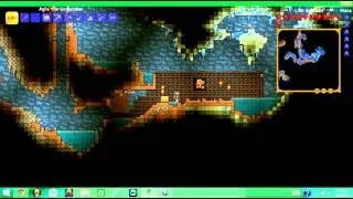 Terraria: How to get the painter