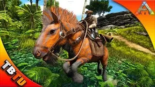 🚩ARK EQUUS TAMING! WHERE TO FIND & HOW TO TAME THE EQUUS! Ark: Survival Evolved V256 Gameplay