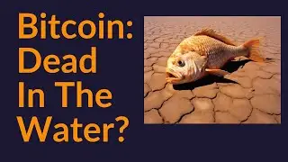 Is Bitcoin Dead In The Water?