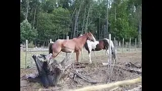 100_2112.MOV