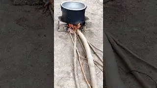 Salçalık Biber 🌶️