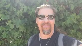 Beautiful day for a. walk in Hollywood !