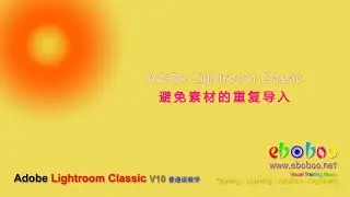 Adobe Lightroom Classic 避免素材的重复导入 - 普通话教学