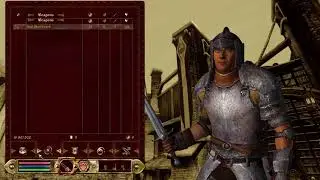Oblivion modded gameplay