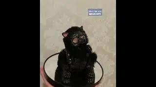 Мистик кэт игрушка ручной работы  в смешанной технике 🌒 группа Hugger toy's