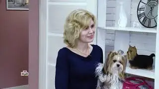 Зоогостиница МаксиГрум в 