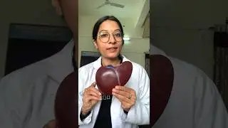 Liver Anatomy in 1 minute🧠🤯 