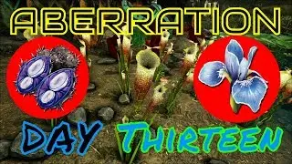 Aberration Day Thirteen: Where to find Plant X and Rare Flowers🌼